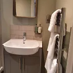 Old Swan